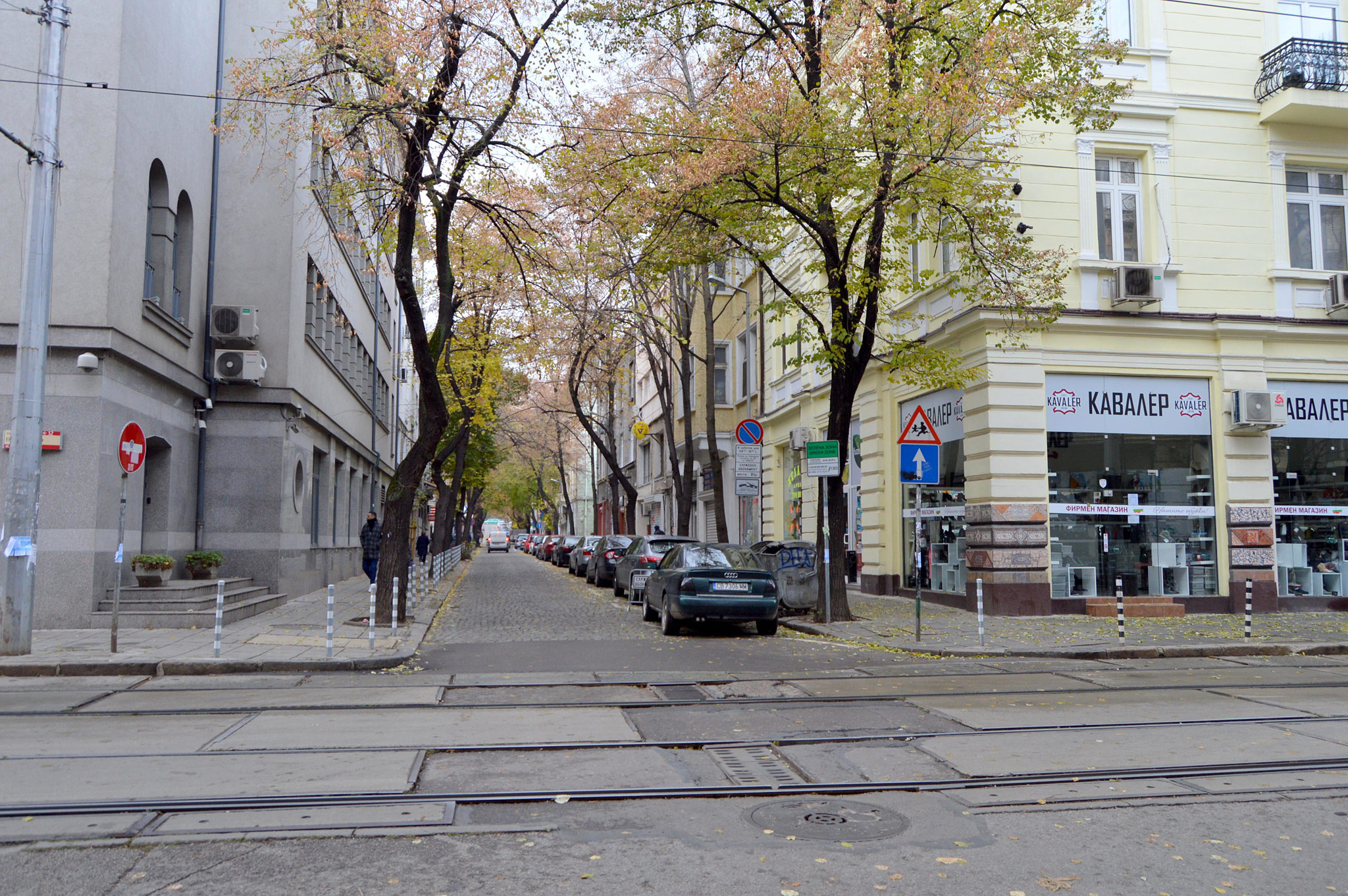 Sofia